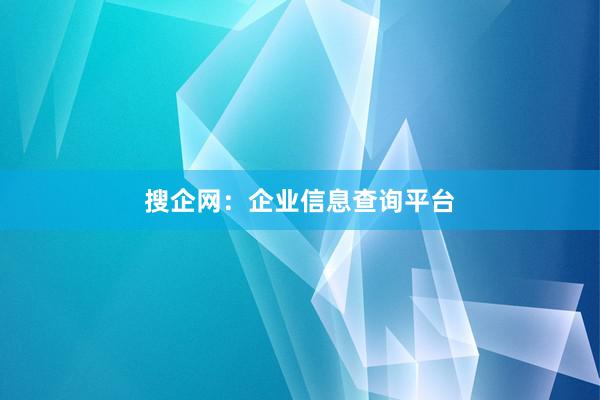 搜企网：企业信息查询平台