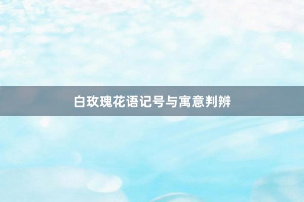 白玫瑰花语记号与寓意判辨