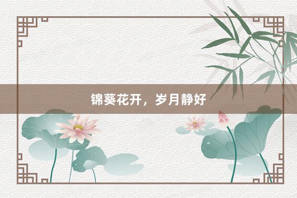 锦葵花开，岁月静好