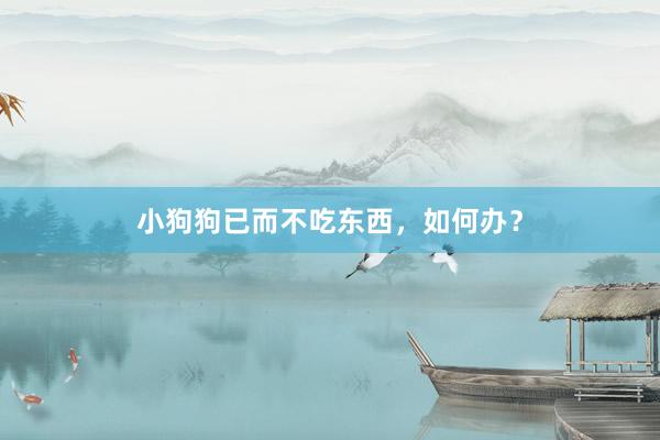 小狗狗已而不吃东西，如何办？