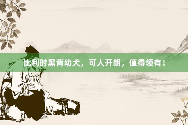 比利时黑背幼犬，可人开朗，值得领有！